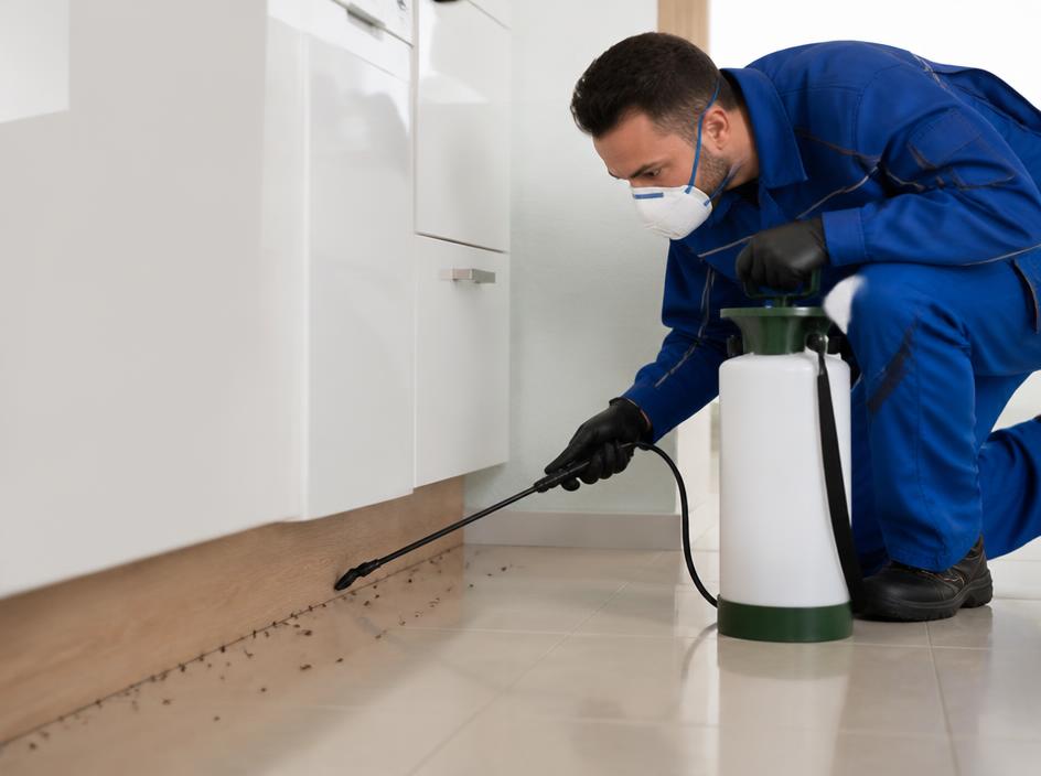 Ant Control